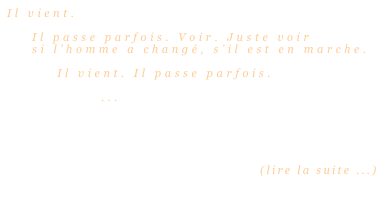 Il vient.

    Il passe parfois. Voir. Juste voir 
    si l’homme a changé, s’il est en marche.

        Il vient. Il passe parfois.

               ...





                                                   (lire la suite ...)